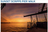 Sunset Scripps Pier Walks