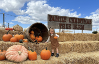 Family Christmas Tree Farm Pumpkin Patch