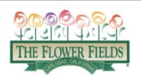 The Flower Fields at Carlsbad Ranch