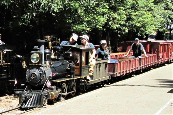 Redwood Valley Railway