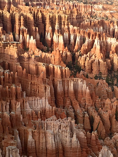 bryce canyon 1956