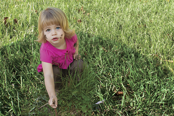 Texture of fresh green grass field used for background. Texture of bright long green grass meadow with sun lights  as background. Green grass. Natural background texture. Fresh spring green grass.