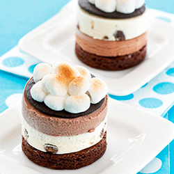 Frozen S'more Snacks