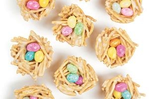 Edible Bird’s Nests